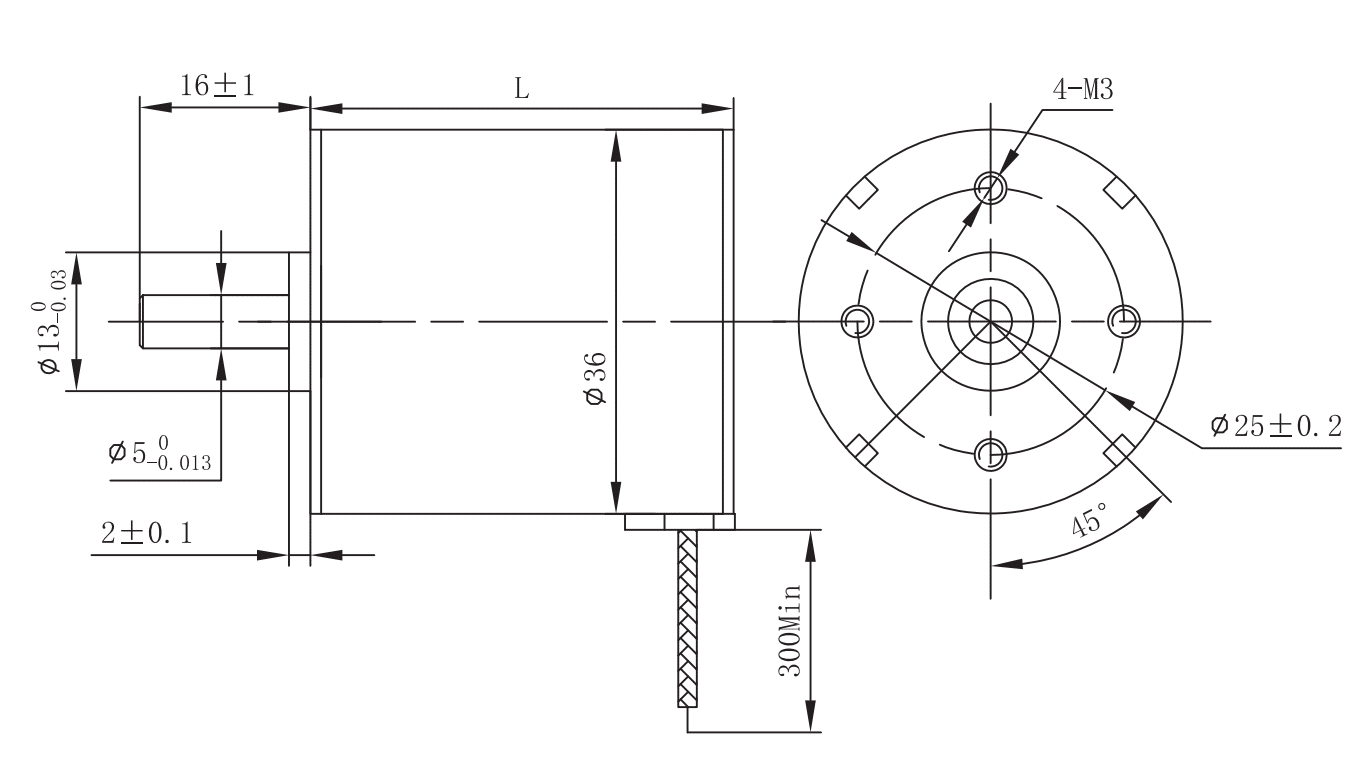 Drawings of Brushless Motor 36 Series-Rostoko