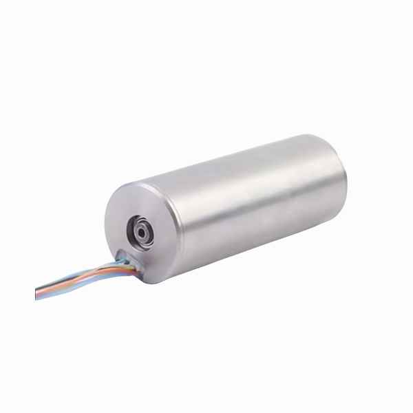 Coreless BLDC Motor—19 Series