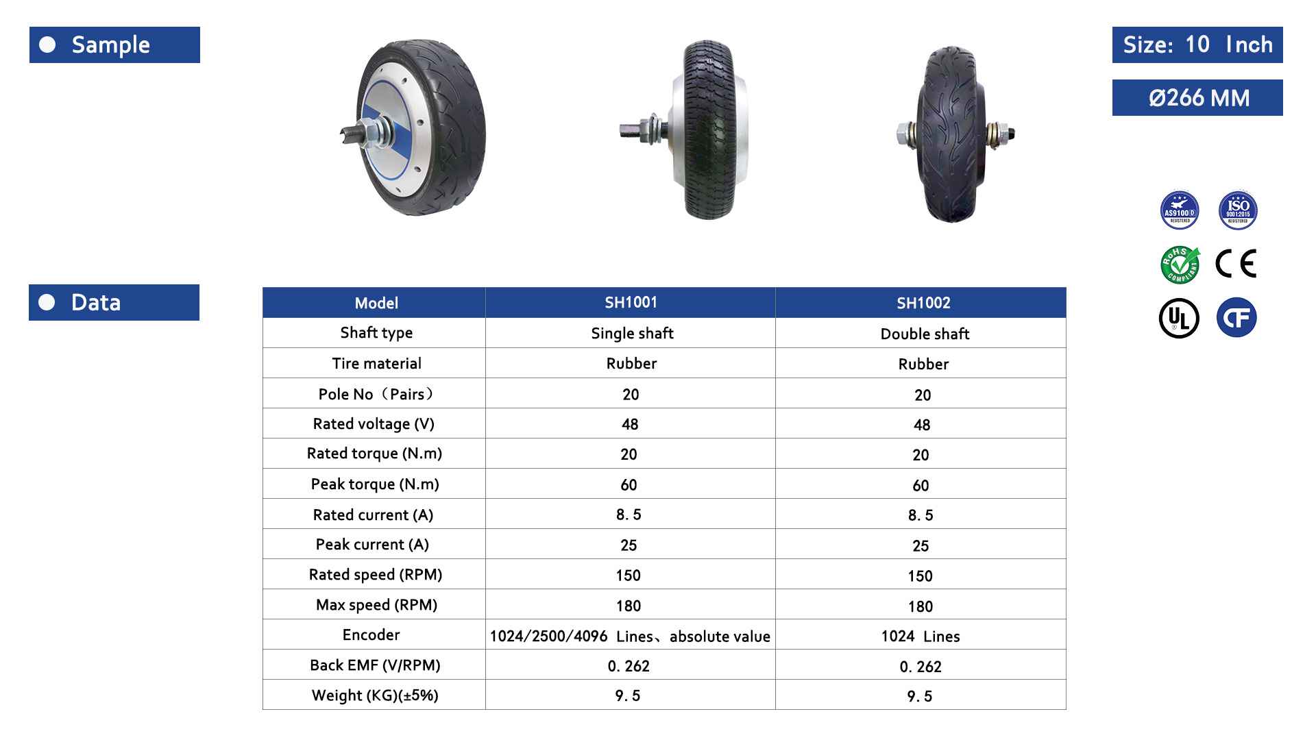 Servo Hub Motor 10 Inch-2-Rostoko